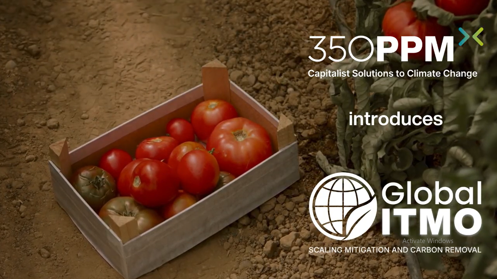 Global ITMO: Article 6 Carbon Markets & Sustainable Agriculture | 350 PPM.